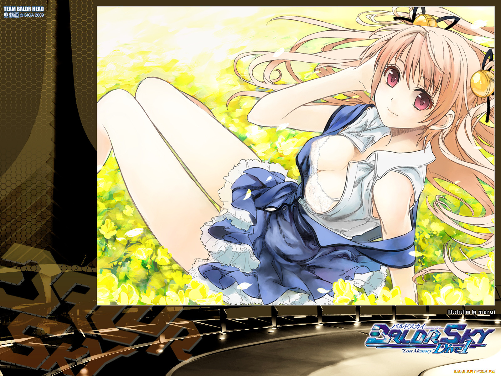 , baldr, force, exe, resolution